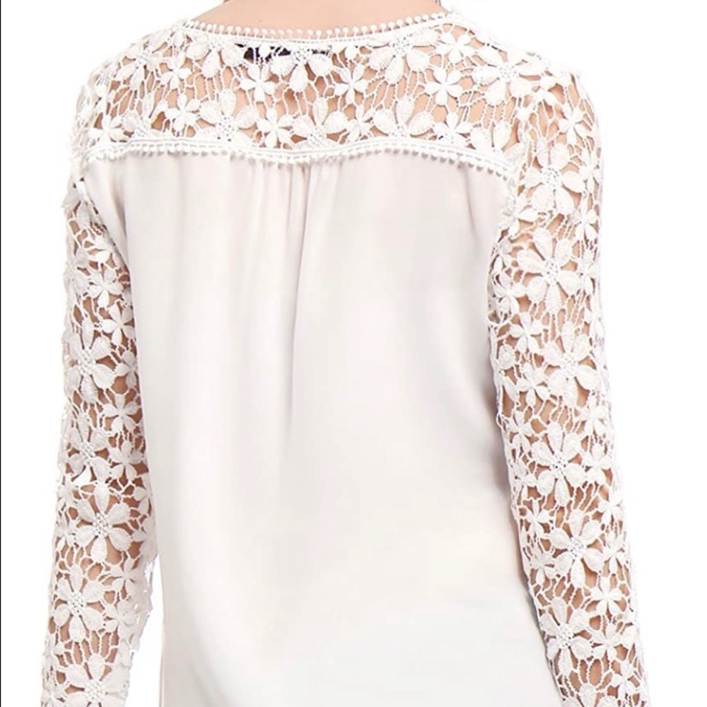 Chiffon Semi Sheer  Blouse - Picture 4 of 7